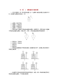 物理必修 第三册1 电荷当堂达标检测题