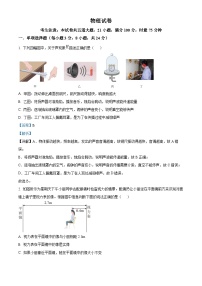 湖南省长沙市南雅中学2023-2024学年高一上学期入学考试物理试题（解析版）