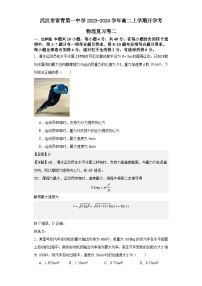 湖北省武汉市常青第一中学2023-2024学年高二上学期开学考物理复习卷二（解析版）