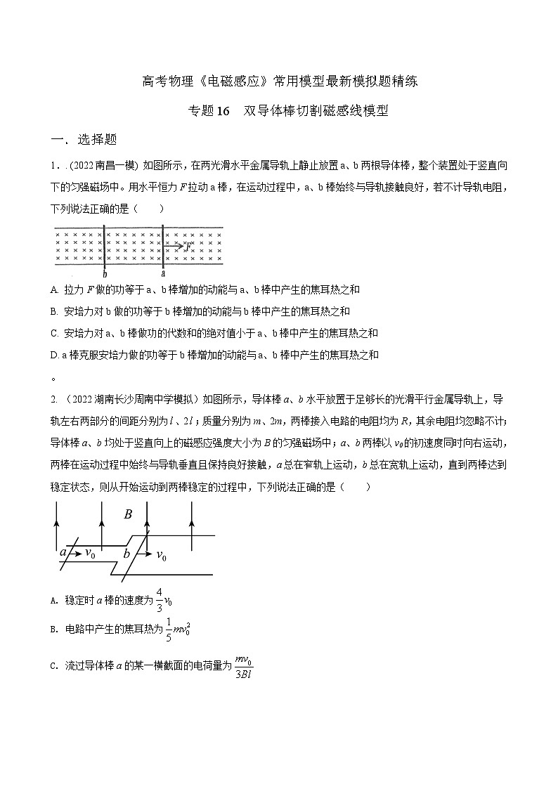 专题16 双导体棒切割磁感线模型-2023年高考物理电磁感应常用模型最新模拟题精练（原卷版）第1页