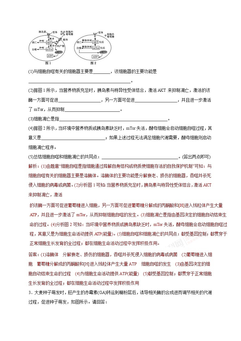 高考物理-简答题解题方法与技巧第3页