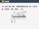 第四章 2　实验：探究加速度与力、质量的关系课件PPT