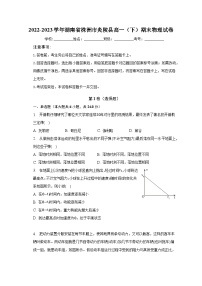 2022-2023学年湖南省株洲市炎陵县高一（下）期末物理试卷（含解析）