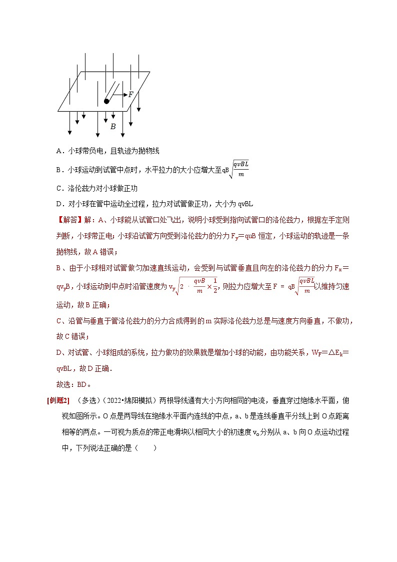 第22讲　磁场对运动电荷的作用-2024年高考物理一轮考点复习精讲精练（全国通用）（解析版）02