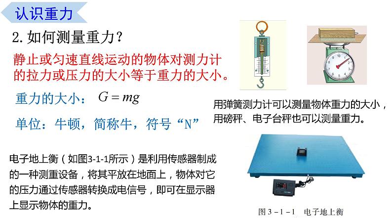 3.1 重力（课件） 高一物理同步精品课堂（粤教版必修第一册）第4页