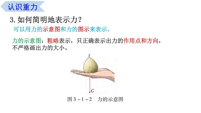 3.1 重力（课件） 高一物理同步精品课堂（粤教版必修第一册）第5页