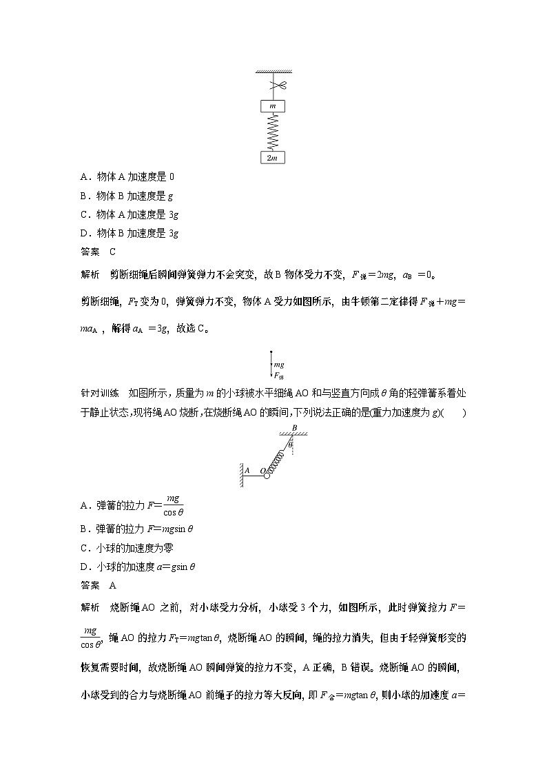 2024年高中物理新教材同步 必修第一册第4章　专题强化　瞬时性问题03