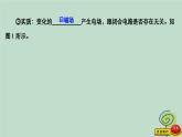 2023新教材高中物理第四章电磁振荡与电磁波2电磁场与电磁波作业课件新人教版选择性必修第二册