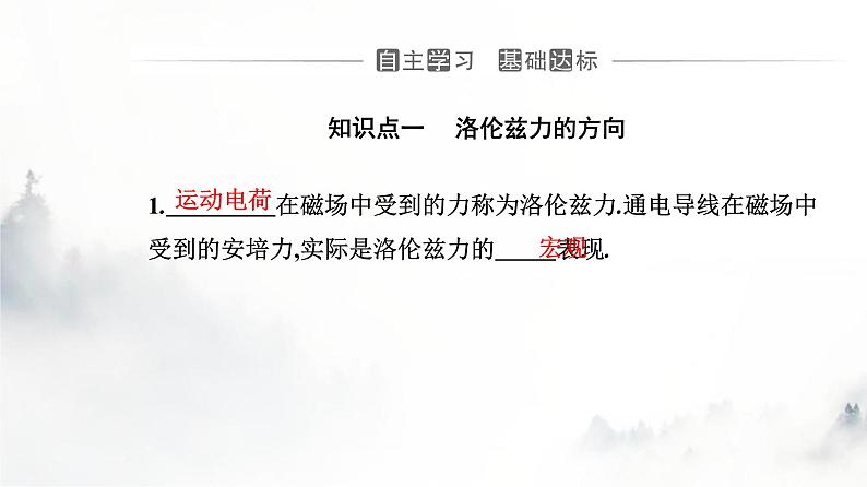 人教版高中物理选择性必修第二册第一章安培力与洛伦兹力1-2磁场对运动电荷的作用力课件第3页