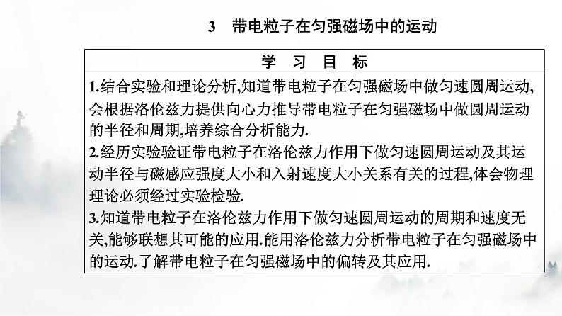 人教版高中物理选择性必修第二册第一章安培力与洛伦兹力1-3带电粒子在匀强磁场中的运动课件02