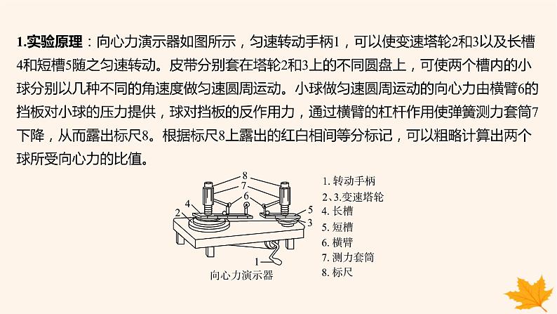 江苏专版2023_2024学年新教材高中物理第六章圆周运动2向心力第二课时实验_探究向心力大小的表达式课件新人教版必修第二册第4页