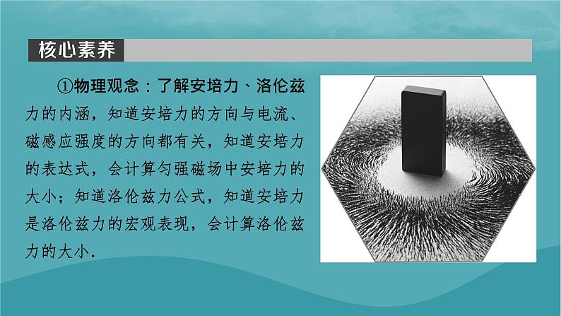 2023年新教材高中物理第1章磁场第1节安培力课件粤教版选择性必修第二册02