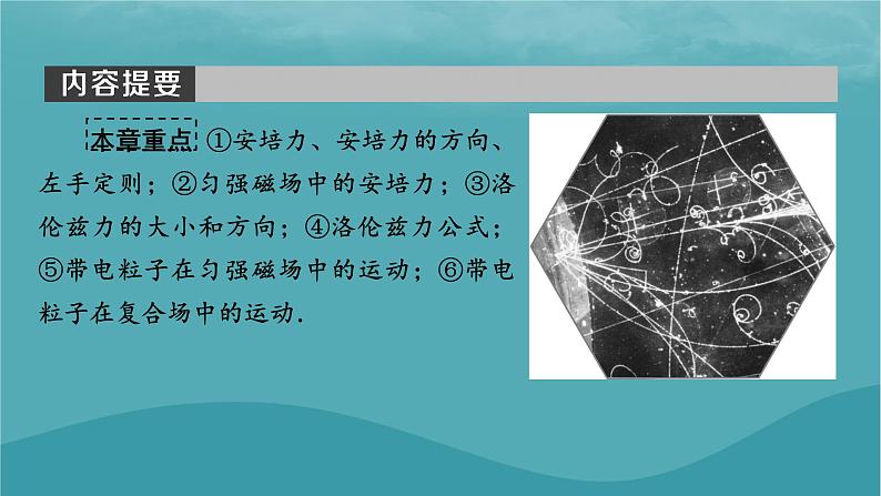 2023年新教材高中物理第1章磁场第1节安培力课件粤教版选择性必修第二册05