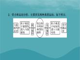 2023年新教材高中物理第1章磁场专项1带电粒子在复合场中的运动课件粤教版选择性必修第二册