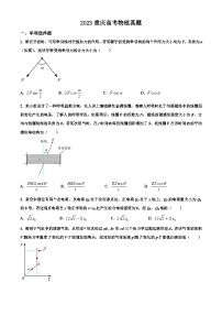 2023年高考重庆卷物理真题（原卷版）