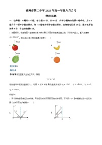 2024株洲二中高一上学期8月月考物理试题含解析