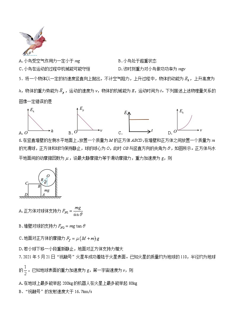 浙江省江浙高中（县中）发展共同体2023-2024学年高三上学期10月联考物理试题（月考）第2页