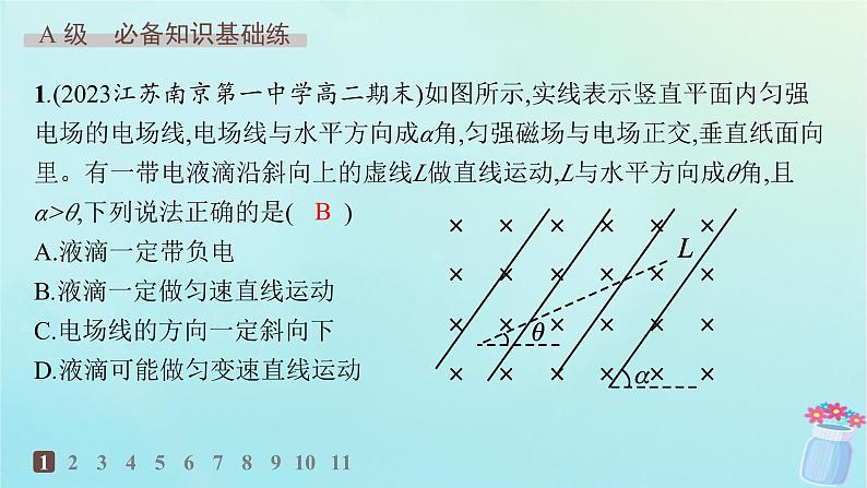 新教材2023_2024学年高中物理第1章磁吃电流的作用专题提升3带电粒子在复合场中的运动分层作业课件教科版选择性必修第二册第2页