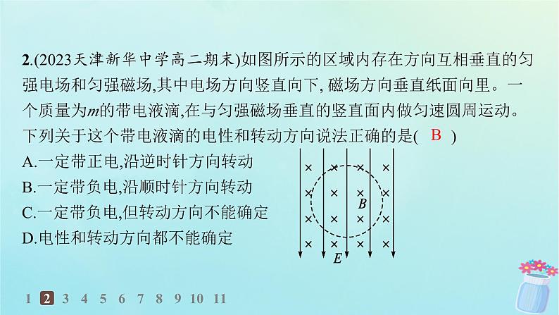 新教材2023_2024学年高中物理第1章磁吃电流的作用专题提升3带电粒子在复合场中的运动分层作业课件教科版选择性必修第二册第4页