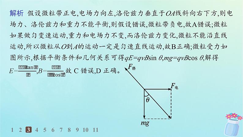 新教材2023_2024学年高中物理第1章磁吃电流的作用专题提升3带电粒子在复合场中的运动分层作业课件教科版选择性必修第二册第7页