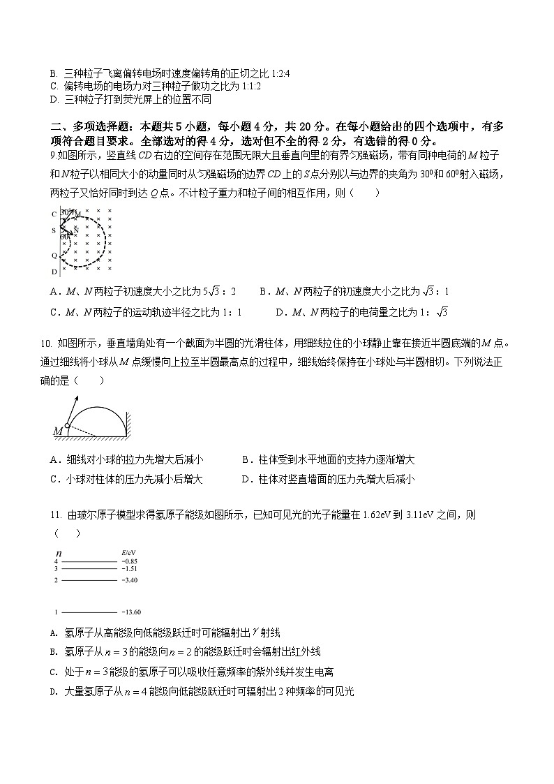 2022届海南省首都师范大学附属昌江矿区中学高三下学期第十一次模拟物理试卷第3页