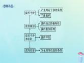 新教材2023_2024学年高中物理第3章机械波第3节波的干涉和衍射课件鲁科版选择性必修第一册