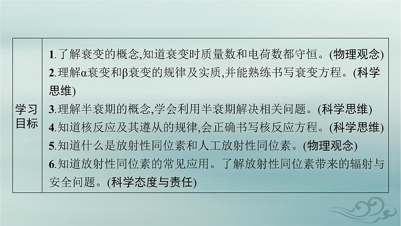 新教材2023_2024学年高中物理第5章原子核2.放射性元素的衰变课件新人教版选择性必修第三册第2页