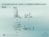 新教材2023_2024学年高中物理第4章原子结构和波粒二象性章末综合训练课件新人教版选择性必修第三册