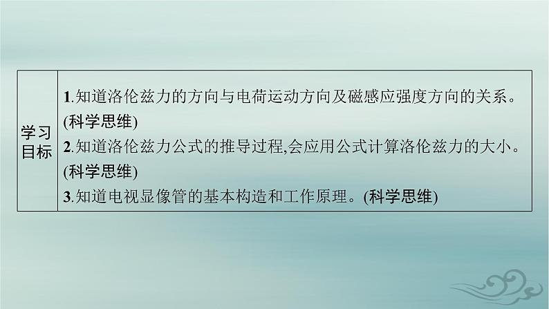 新教材2023_2024学年高中物理第1章安培力与洛伦兹力2磁场对运动电荷的作用力课件新人教版选择性必修第二册第2页