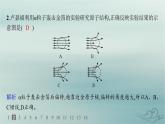 新教材2023_2024学年高中物理第4章原子结构和波粒二象性分层作业18原子的核式结构模型课件新人教版选择性必修第三册