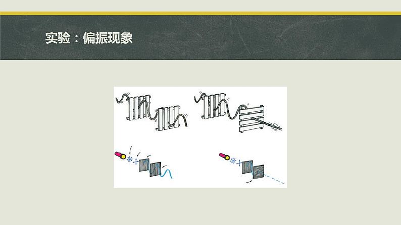 4.6 光的偏振 激光 课件  2023-2024学年高二上学期物理人教版（2019）选择性必修第一册04