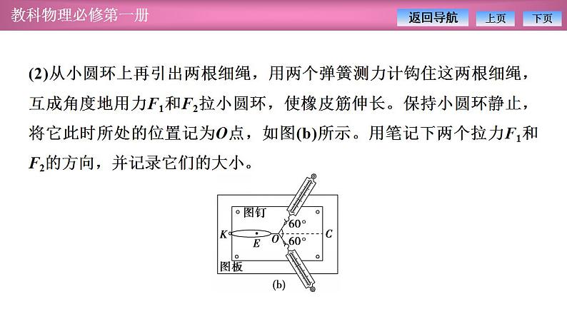 2023-2024学年教科版（2019）必修第一册 3.4第1课时 实验：探究两个互成角度的力的合成规律 课件07