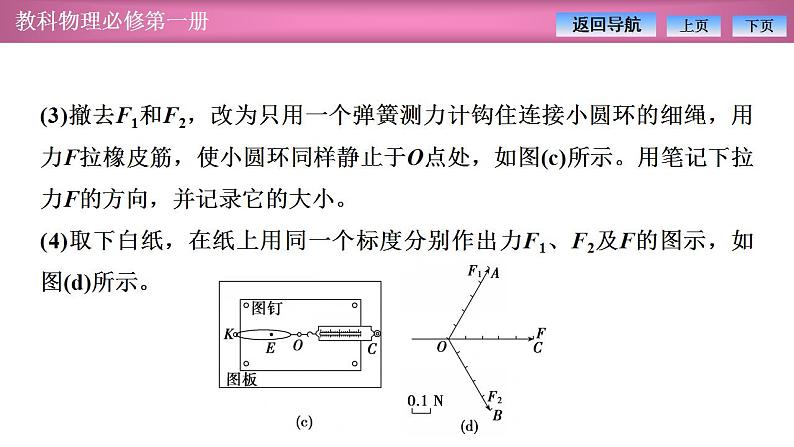 2023-2024学年教科版（2019）必修第一册 3.4第1课时 实验：探究两个互成角度的力的合成规律 课件08