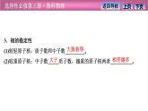 2023-2024學年魯科版（2019）選擇性必修第三冊 5.3核力與核能 課件