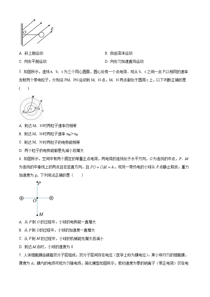 2024广元广元中学高二上学期10月月考物理试题含解析02