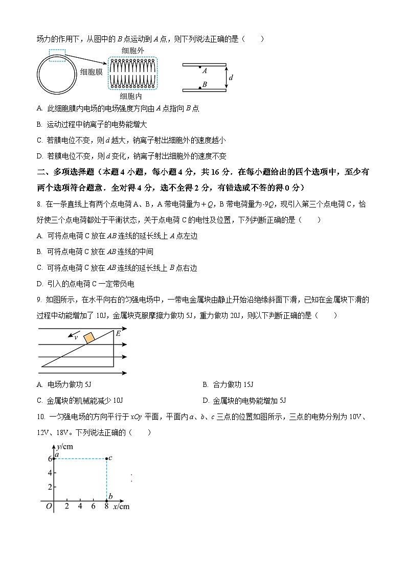 2024广元广元中学高二上学期10月月考物理试题含解析03