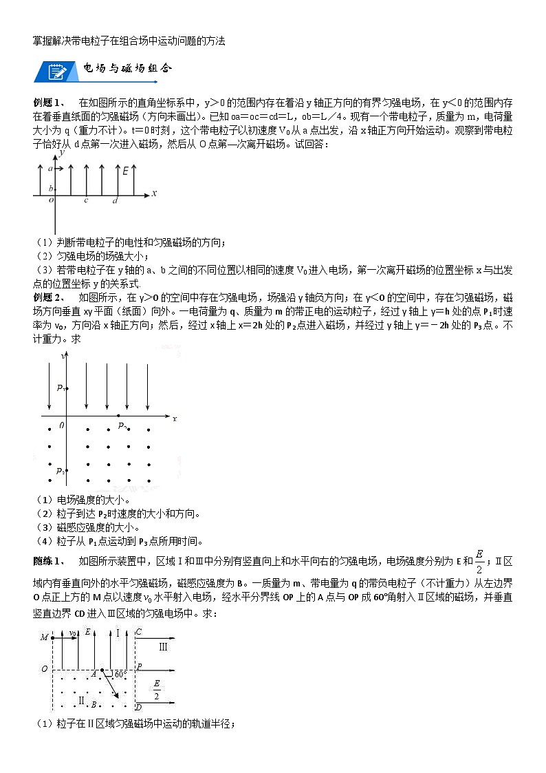 新高考物理二轮复习知识梳理+重点突破：第25讲 电磁复合场 (含解析)02
