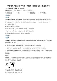 浙江省宁波市神舟学校2023-2024学年高一物理上学期10月月考试题（Word版附解析）