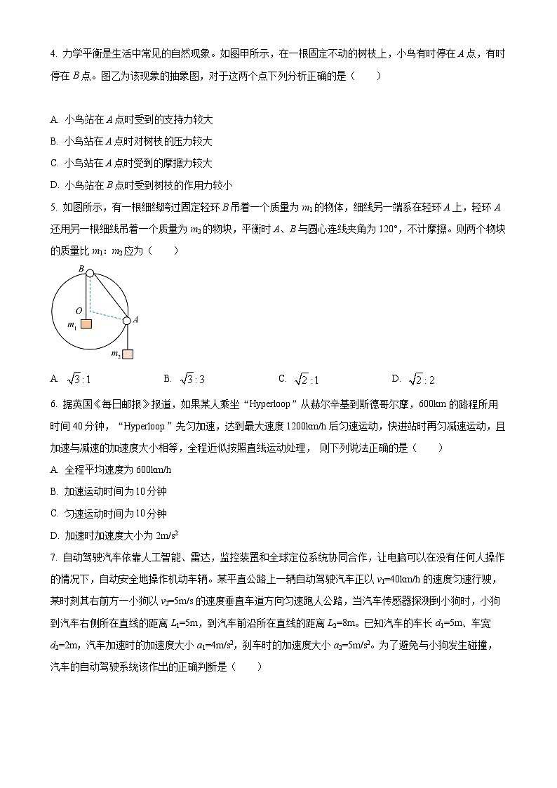 【期中真题】吉林省长春市东北师范大学附属中学2022-2023学年高一上学期期中物理试题.zip02