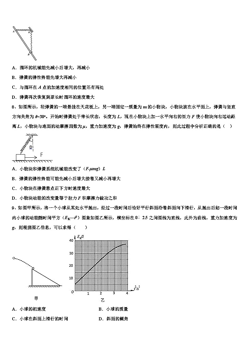 2023-2024学年河南省郑州市重点中学高三上学期10月月考 物理（含解析）第3页