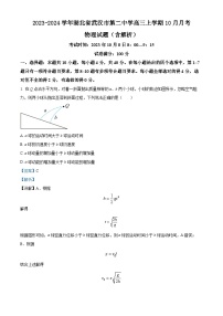 2023-2024学年湖北省武汉市第二中学高三上学期10月月考 物理试题（含解析）