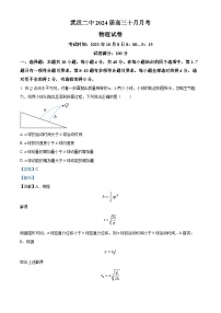 湖北省武汉市第二中学2023-2024学年高三上学期10月月考物理试题  Word版含解析