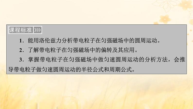 新教材适用2023_2024学年高中物理第1章安培力与洛伦兹力3带电粒子在匀强磁场中的运动第1课时半径和周期公式的理解及简单应用课件新人教版选择性必修第二册05