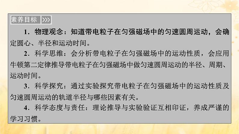 新教材适用2023_2024学年高中物理第1章安培力与洛伦兹力3带电粒子在匀强磁场中的运动第1课时半径和周期公式的理解及简单应用课件新人教版选择性必修第二册第6页