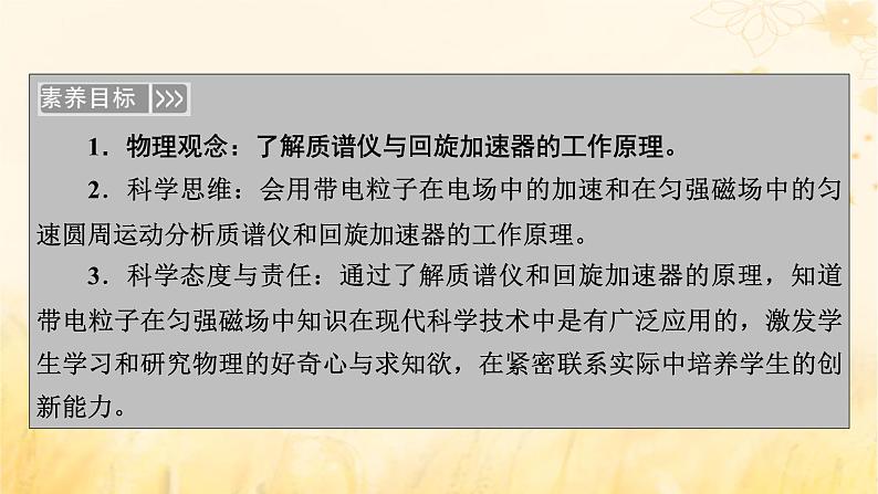 新教材适用2023_2024学年高中物理第1章安培力与洛伦兹力4质谱仪与回旋加速器课件新人教版选择性必修第二册06