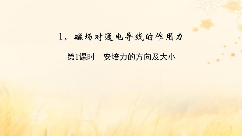 新教材适用2023_2024学年高中物理第1章安培力与洛伦兹力1磁吃通电导线的作用力第1课时安培力的方向及大小课件新人教版选择性必修第二册02