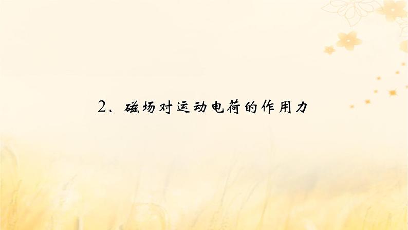 新教材适用2023_2024学年高中物理第1章安培力与洛伦兹力2磁吃运动电荷的作用力课件新人教版选择性必修第二册第2页