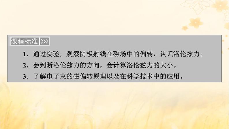 新教材适用2023_2024学年高中物理第1章安培力与洛伦兹力2磁吃运动电荷的作用力课件新人教版选择性必修第二册第5页