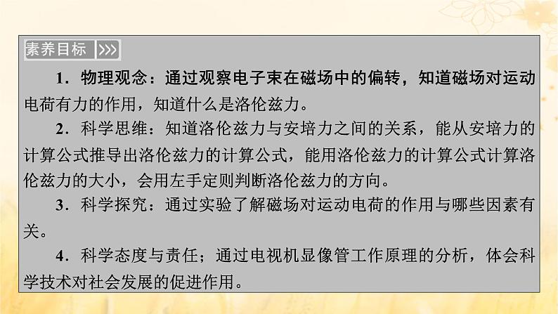 新教材适用2023_2024学年高中物理第1章安培力与洛伦兹力2磁吃运动电荷的作用力课件新人教版选择性必修第二册第6页