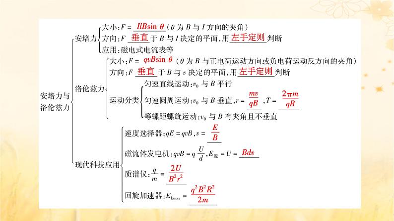 新教材适用2023_2024学年高中物理第1章安培力与洛伦兹力章末小结课件新人教版选择性必修第二册05